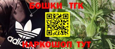 гашик Кимры
