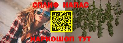 гашик Кимры