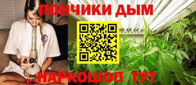 амф Камышлов