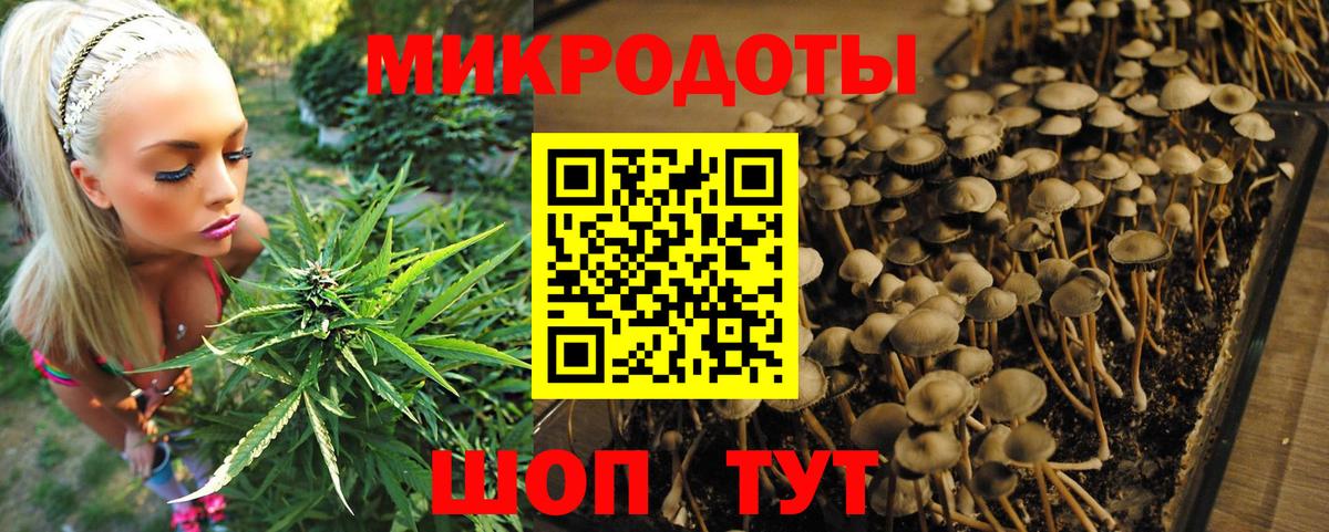 Галлюциногенные грибы GOLDEN TEACHER  Вход с VPN  Вологда 