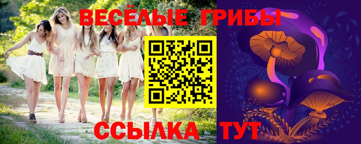 Галлюциногенные грибы прущие грибы Вологда